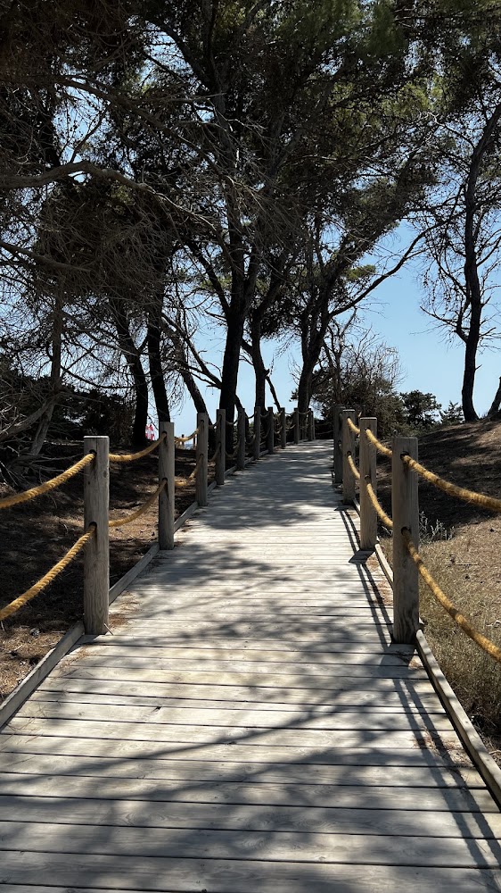 Platja de ses Salines