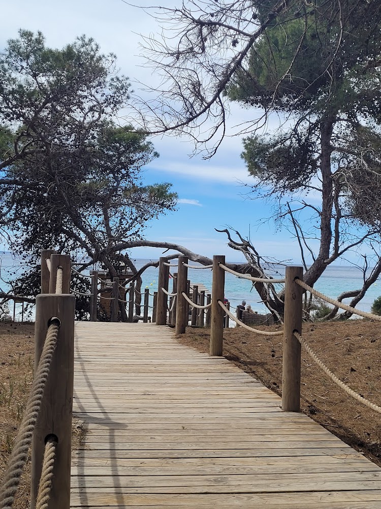 Platja de ses Salines