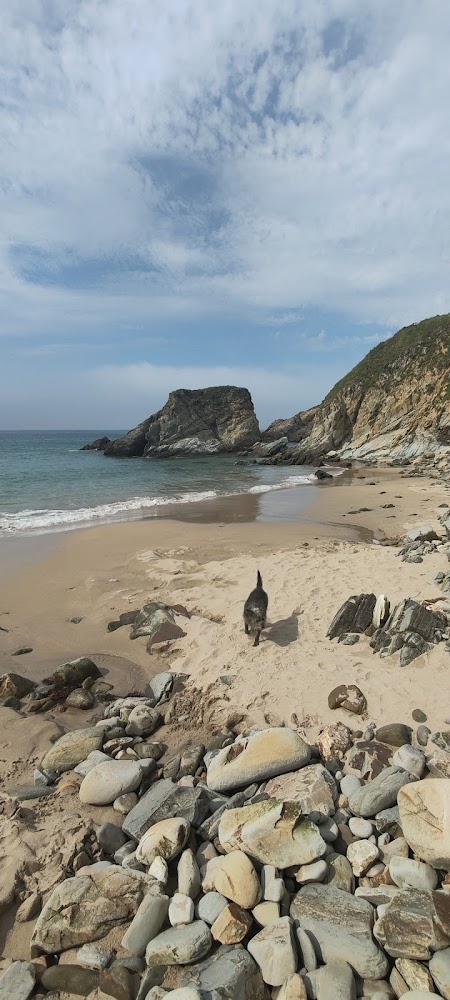 Camping Playa de Tapia