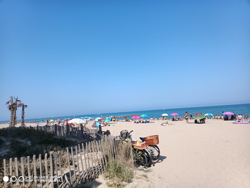 Plage Maillol