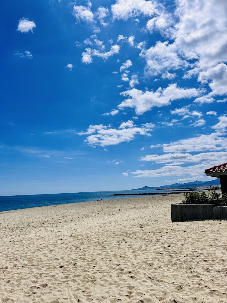 Plage Maillol