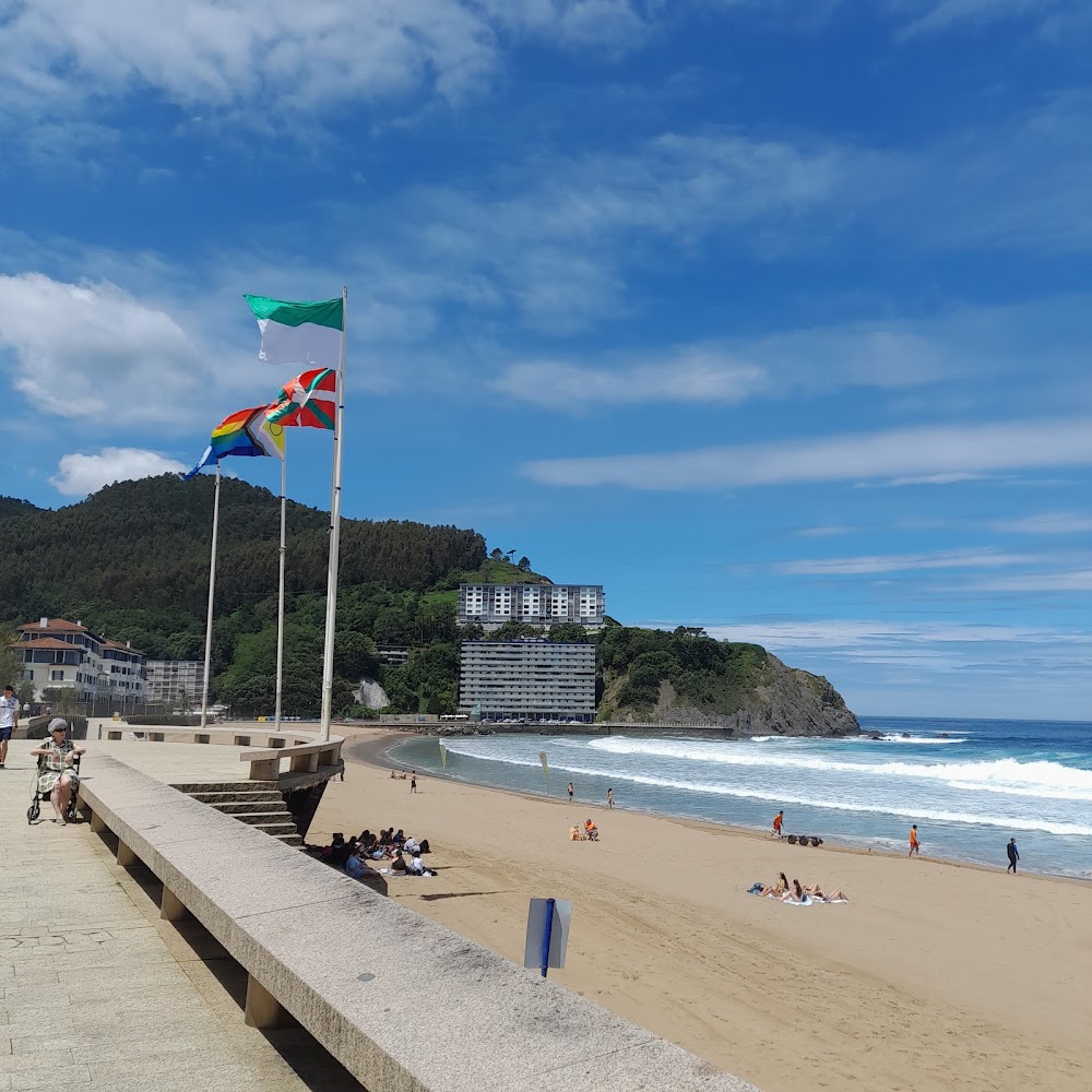 Bakioko Hondartza/Playa de Bakio