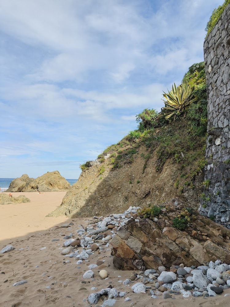 Bakioko Hondartza/Playa de Bakio