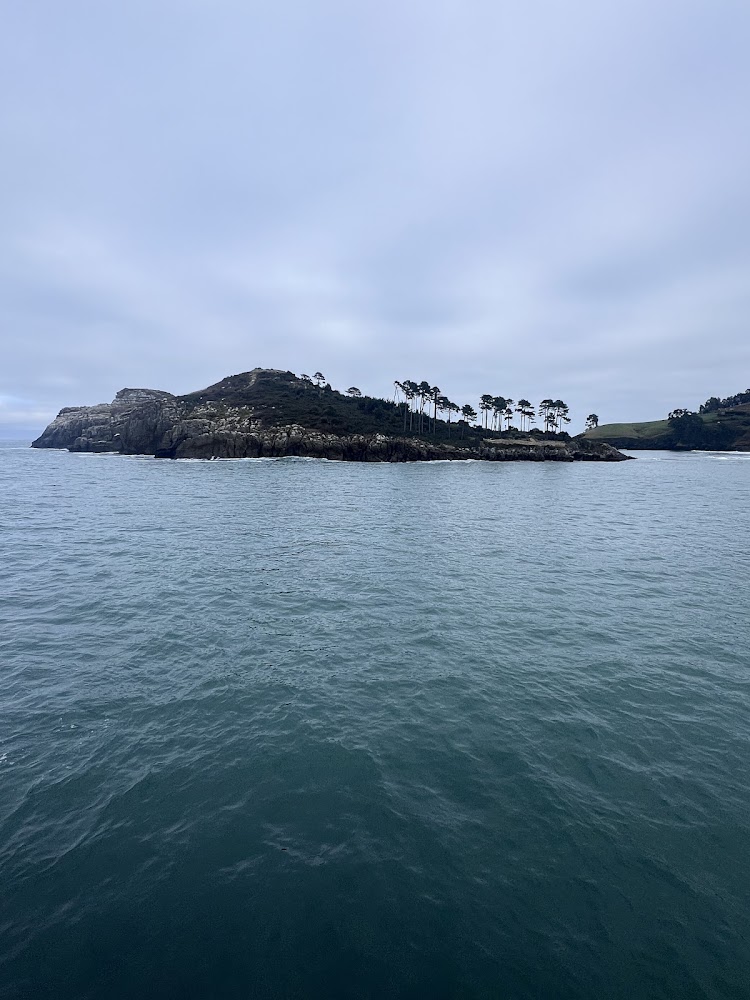 Playa Lekeitio( Isuntza )
