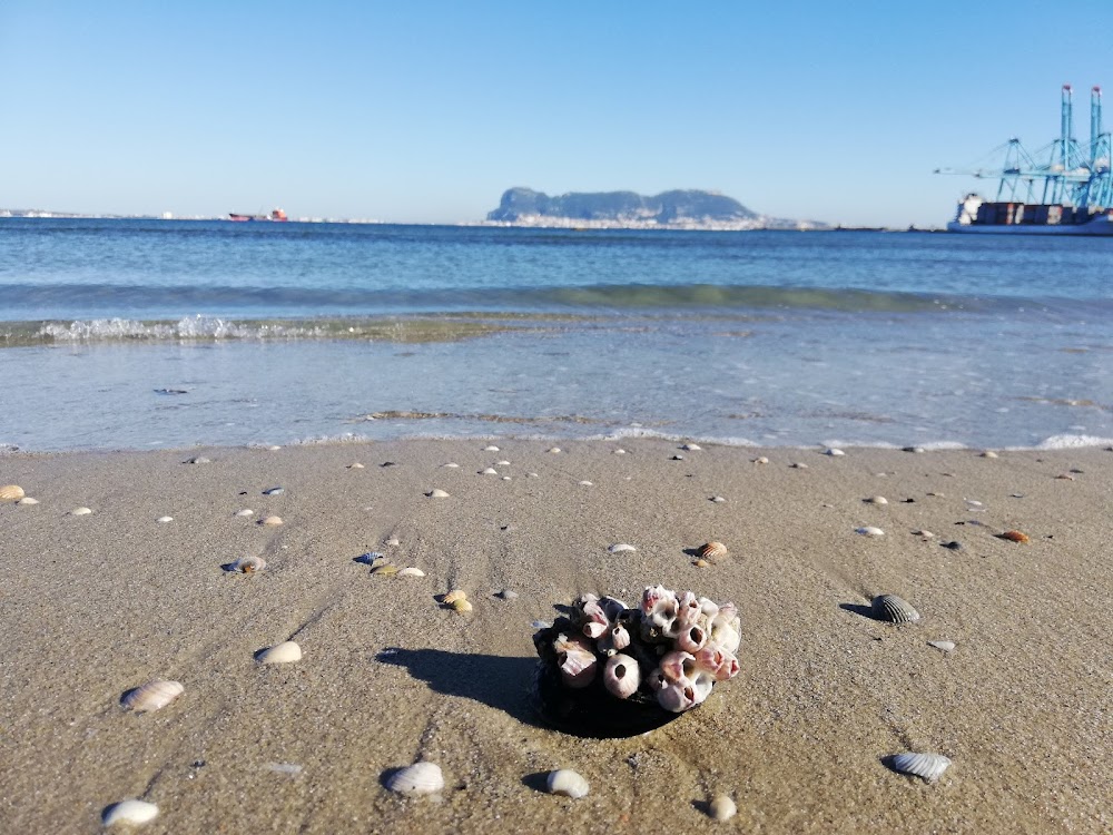 Playa del Rinconcillo