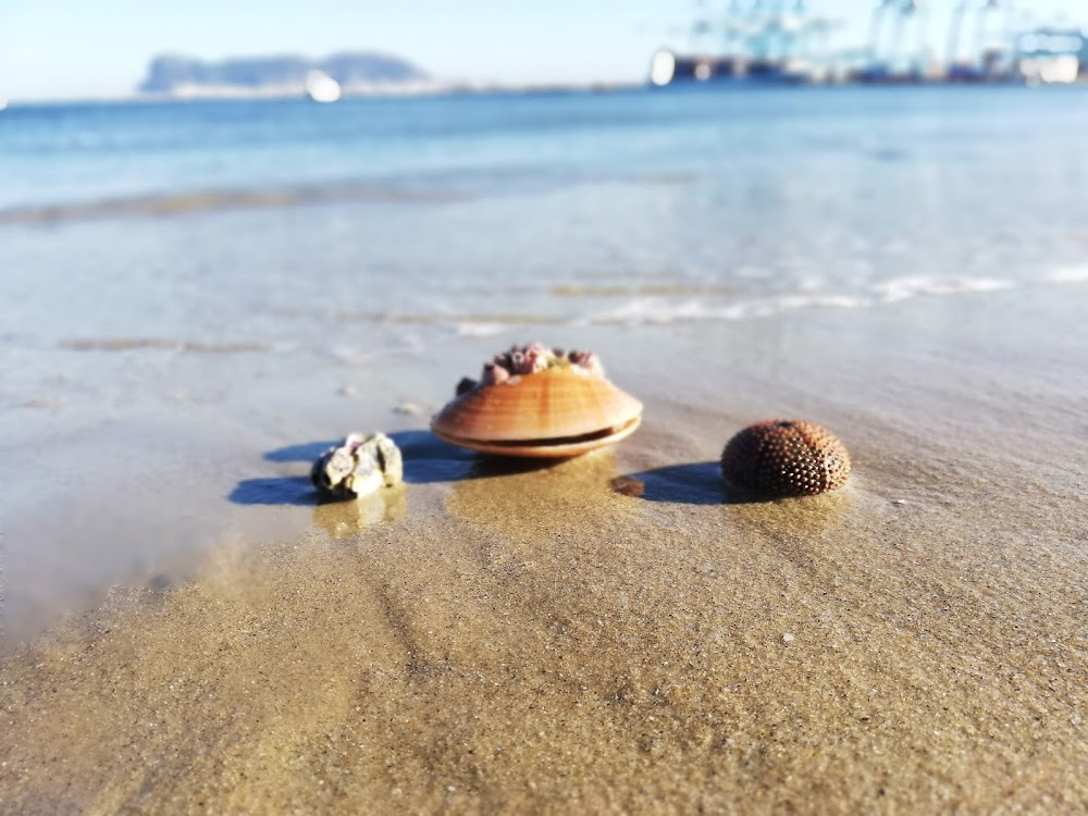 Playa del Rinconcillo