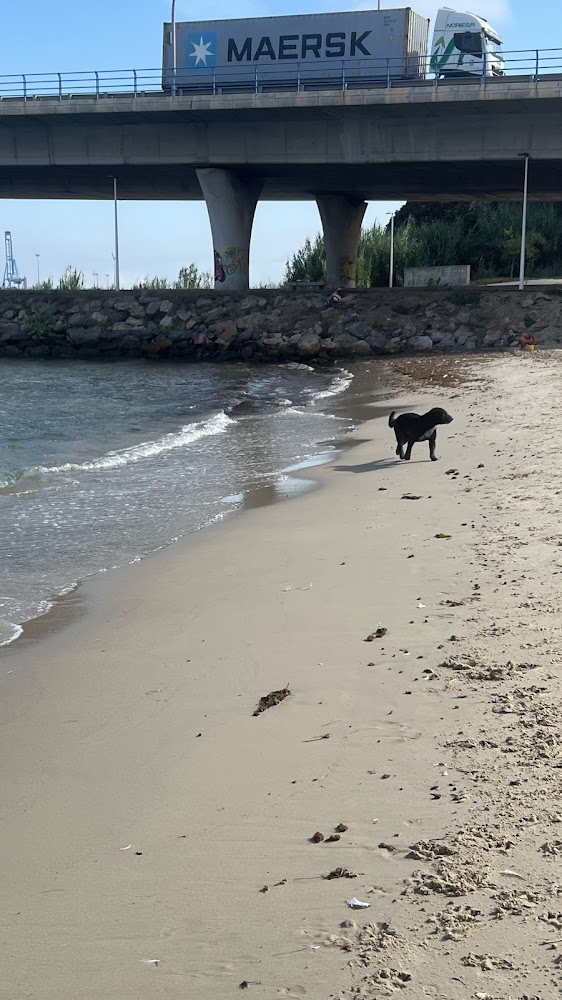 Playa de El Rinconcillo