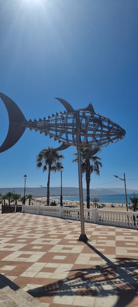 Playa De Barbate