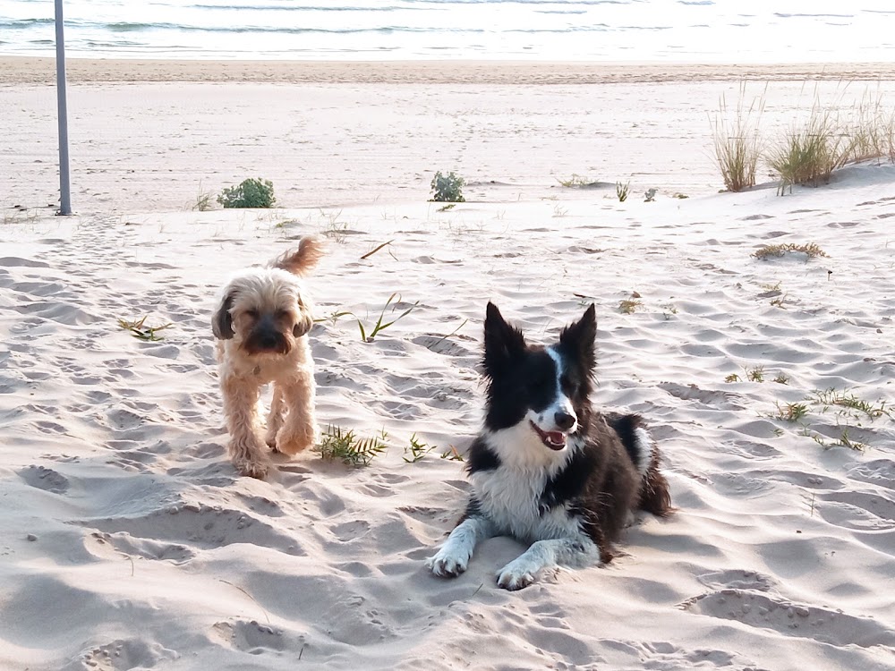 Playa del Puerco