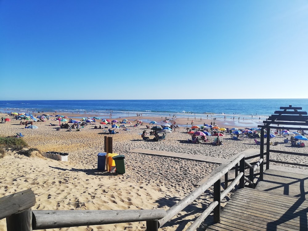 Playa Del Puerco Chiclana De La Frontera Make My Trip Playa Del Puerco Chiclana De La Frontera Make My Trip