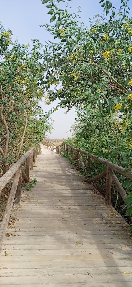 Playa del Castillo
