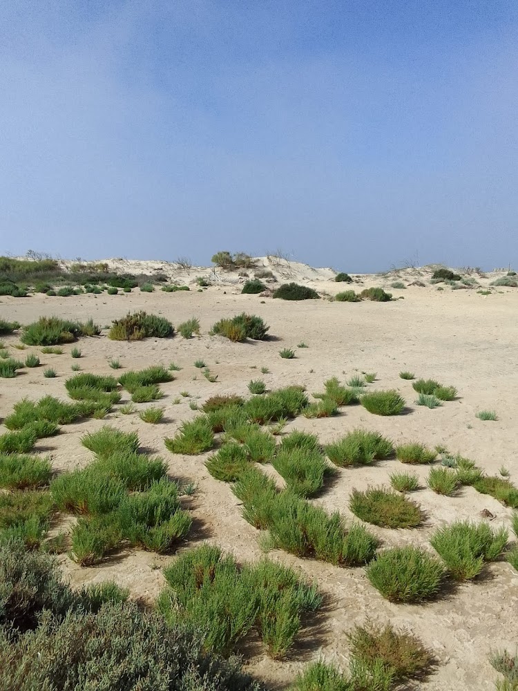 Playa del Castillo