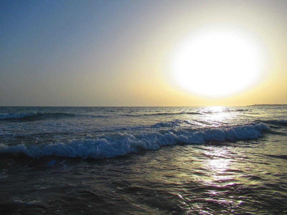 Playa de La Fontanilla En Conil