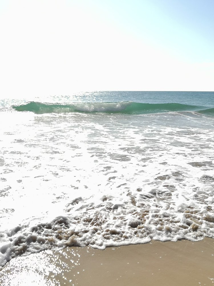 Playa de La Fontanilla En Conil