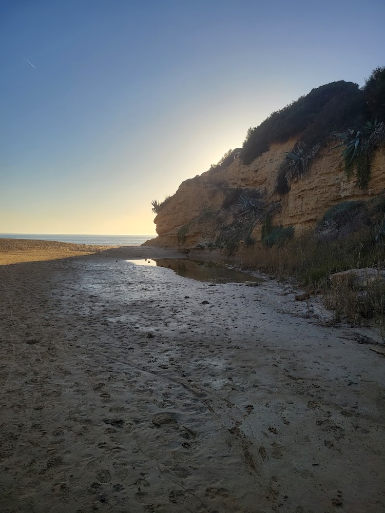 Playa de La Fontanilla En Conil