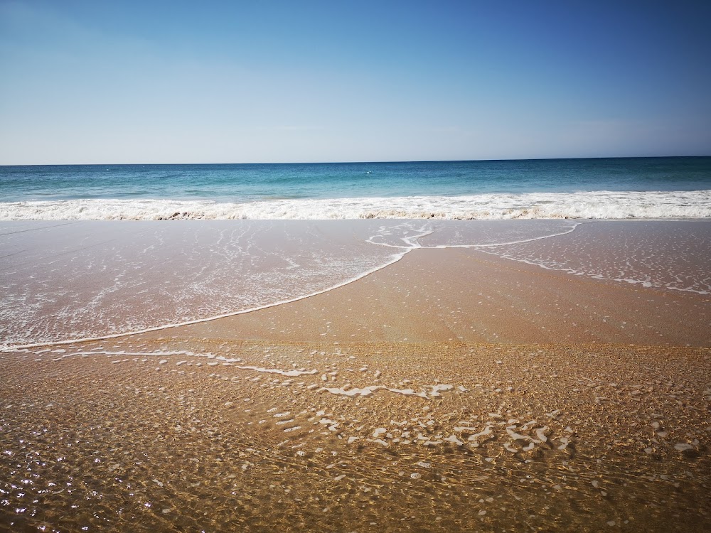 Playa de La Fontanilla En Conil