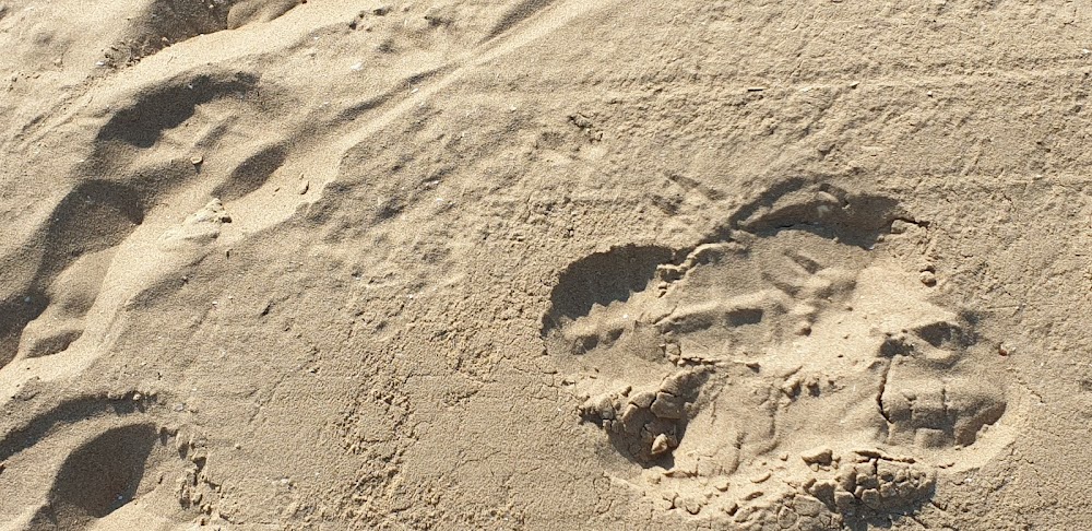 Playa de Valdelagrana