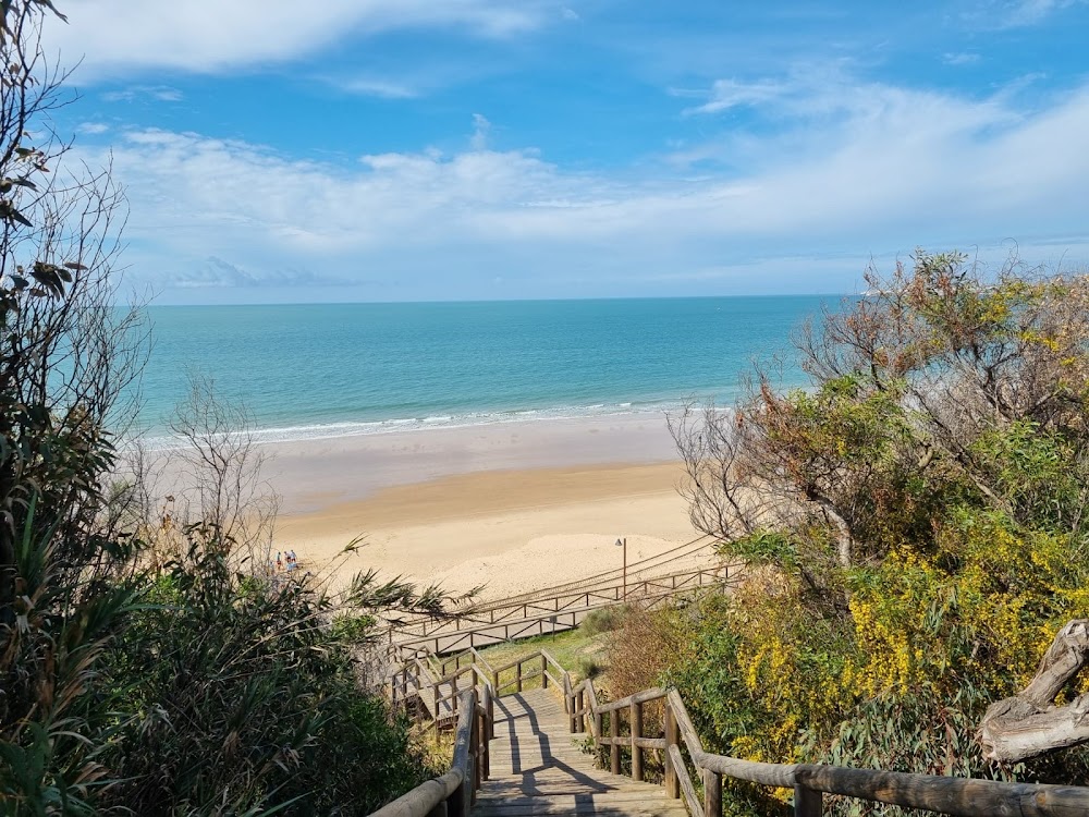 Playa de las Redes