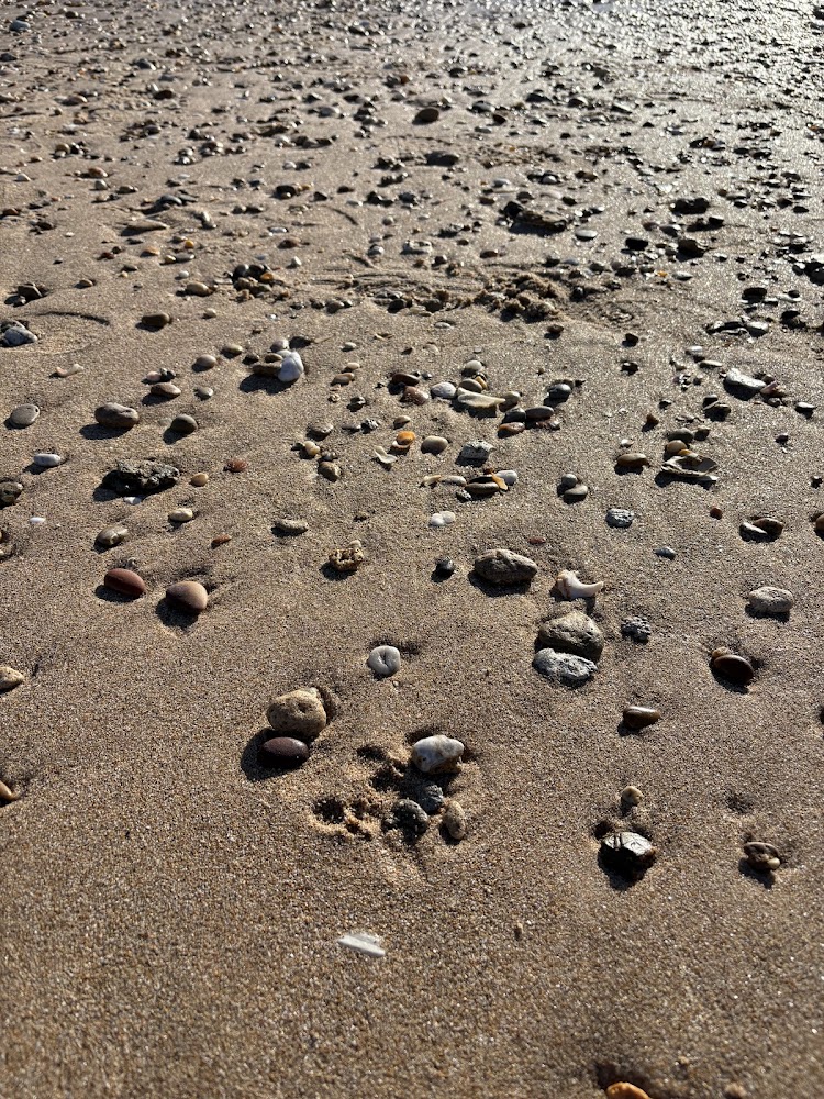 Playa de las Redes