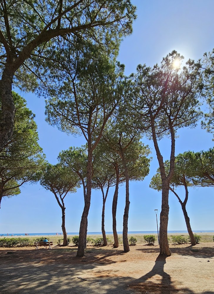 Plage des Pins