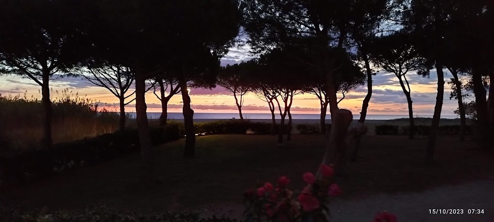 Plage des Pins