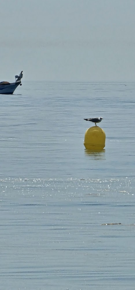 Playa del Burgo
