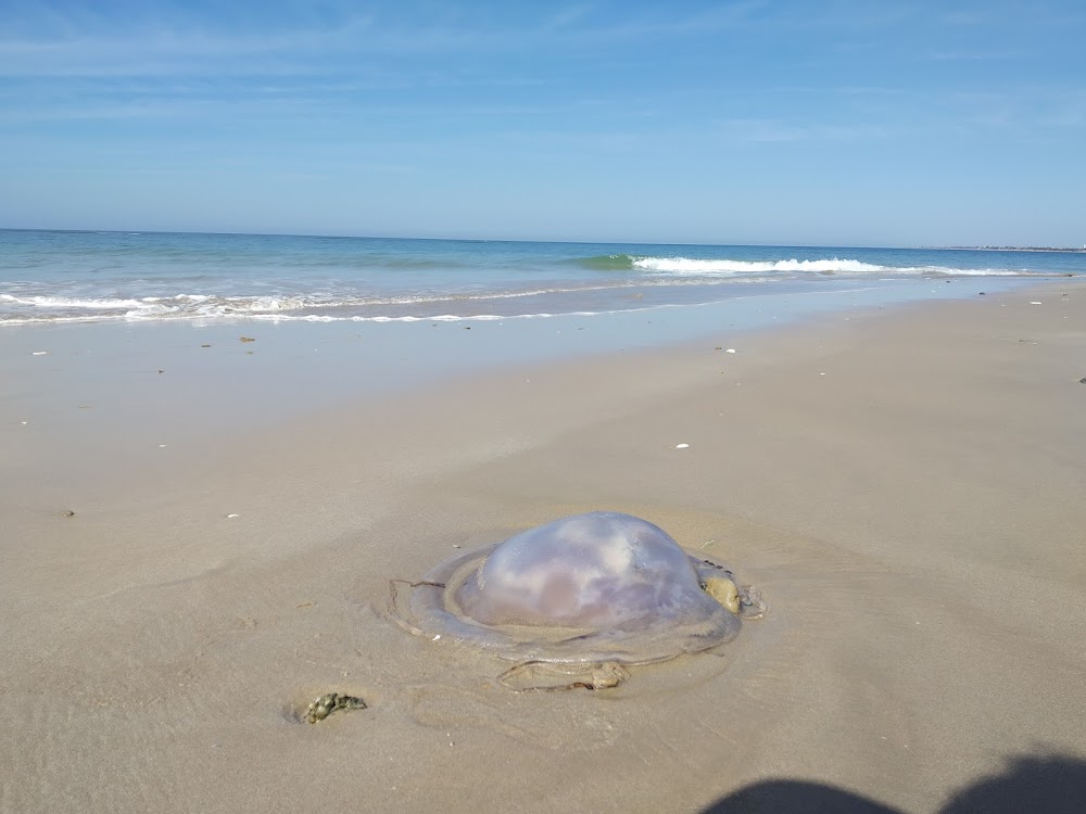 Playa Rota