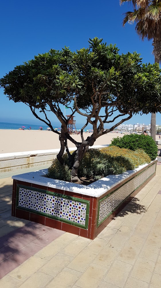 Playa Rota