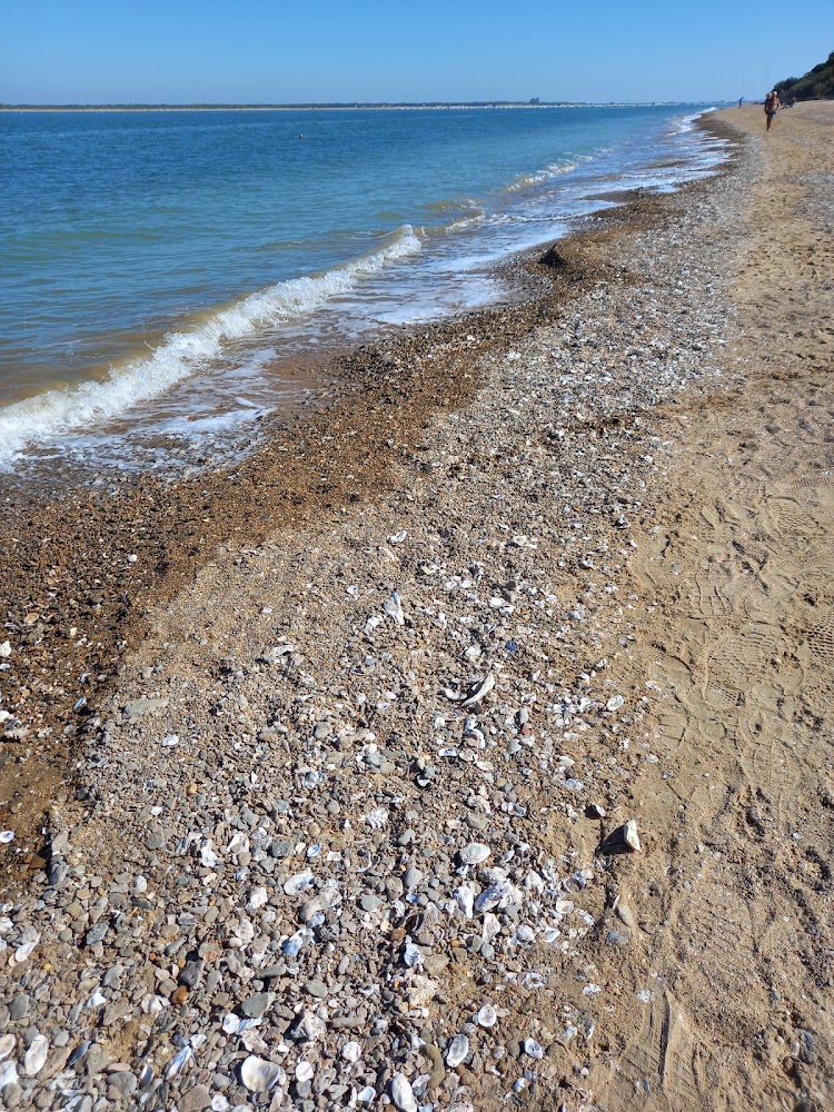 Playa de la Jara