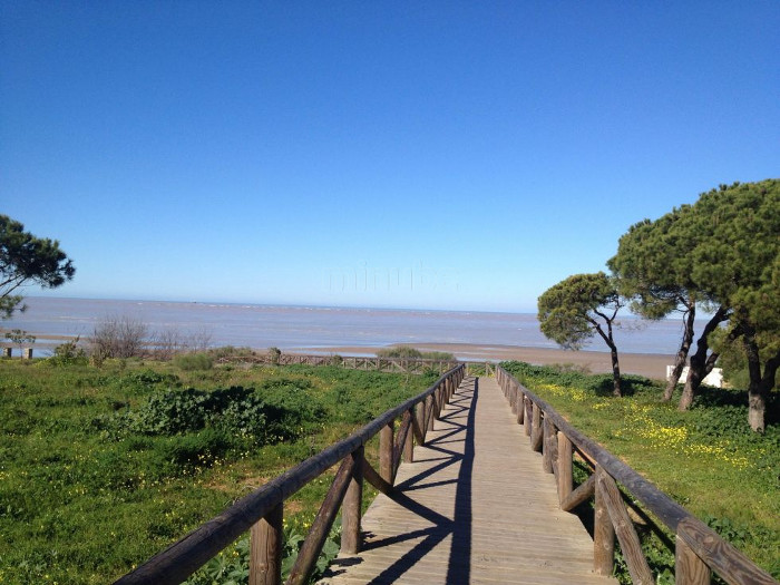 Playa de la Jara