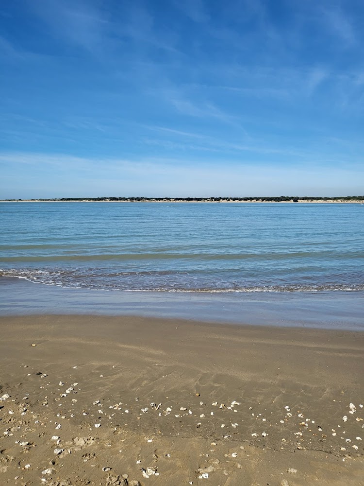 Playa de Bajo de Guía