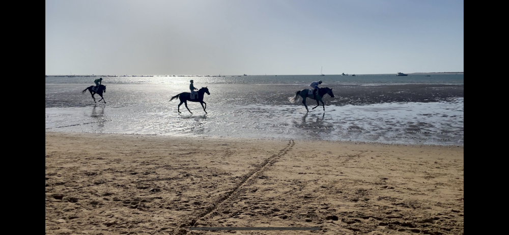 Playa de la Calzada