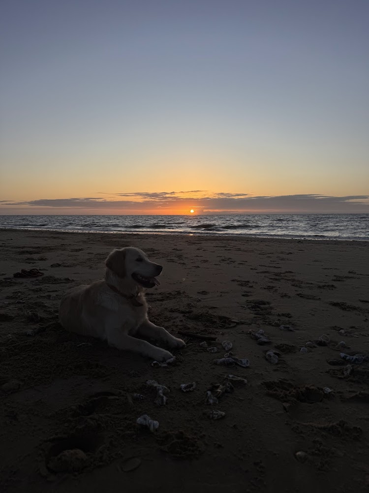 Playa de las Piletas