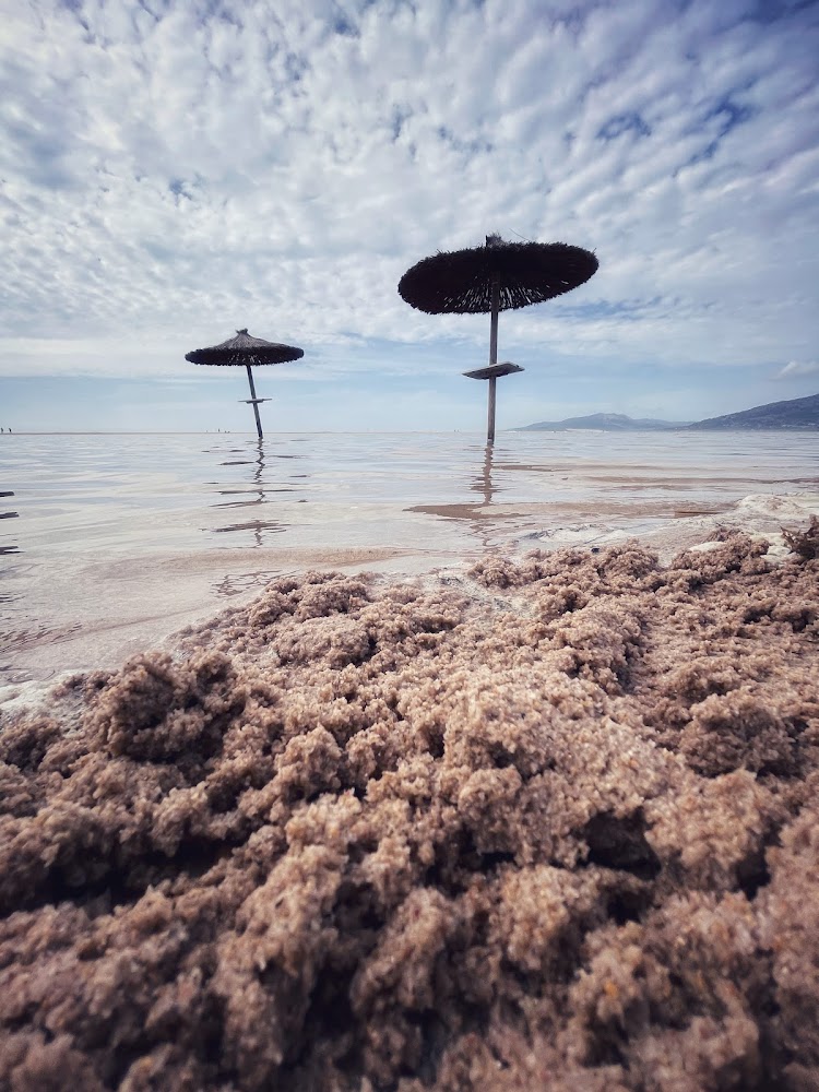 Playa de Los Lances