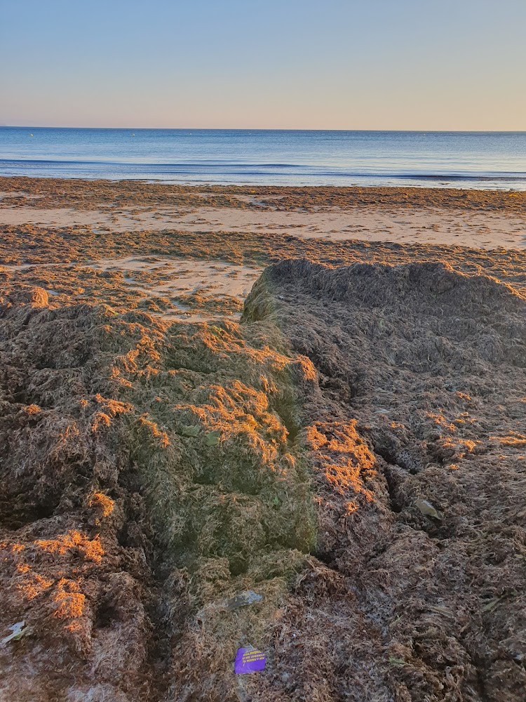 Playa de Los Lances