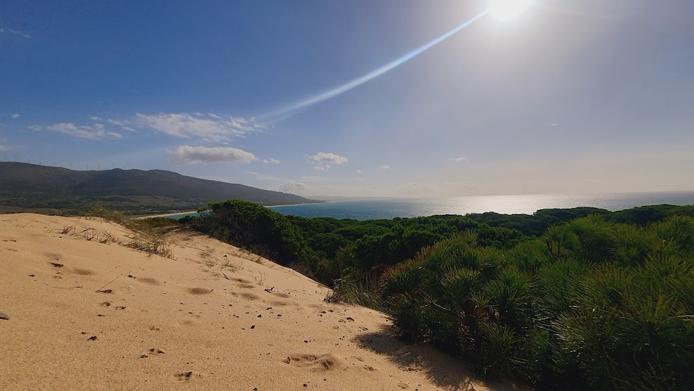 Playa Punta Paloma