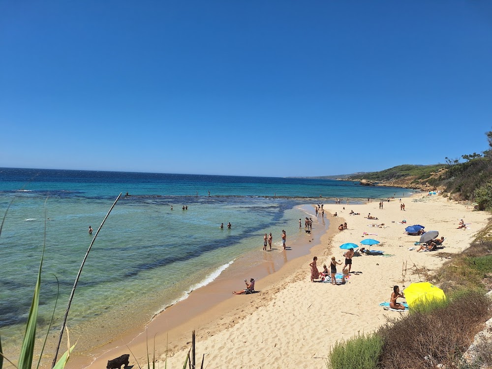 Playa Punta Paloma