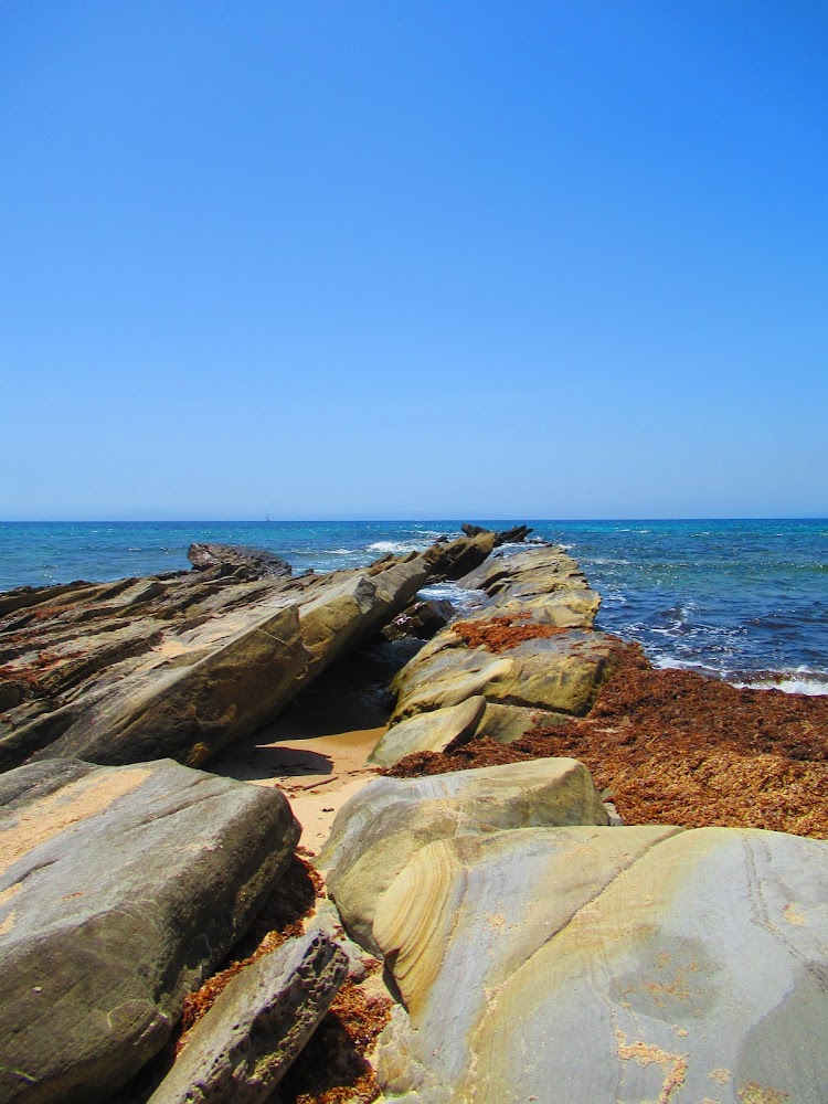 Playa Punta Paloma
