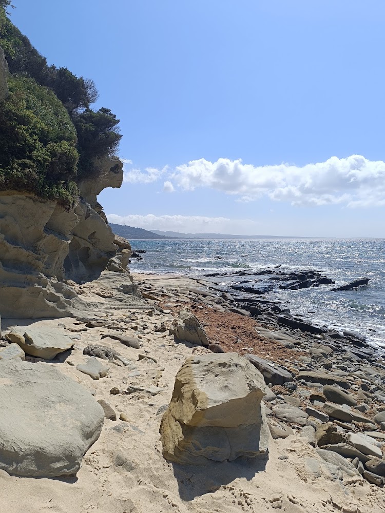 Playa Punta Paloma