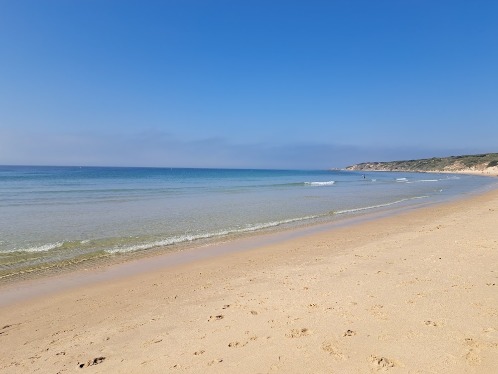 Playa Punta Paloma