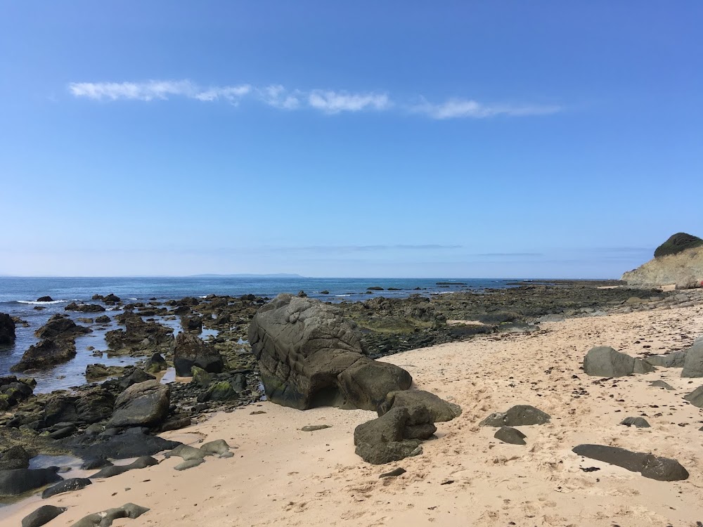 Playa Punta Paloma