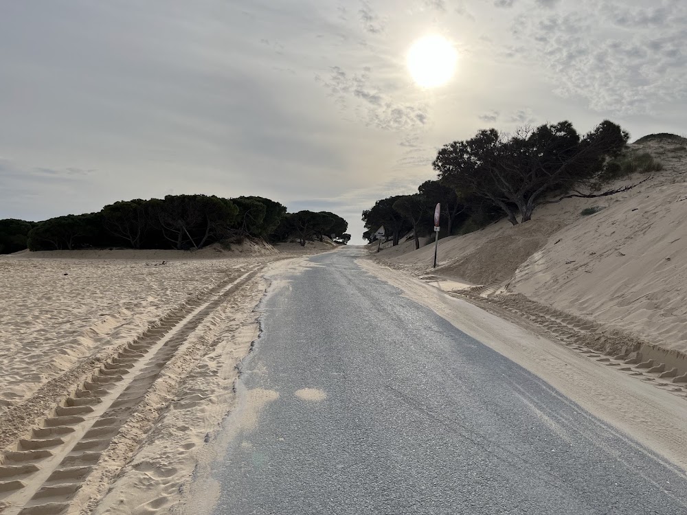 Playa Punta Paloma