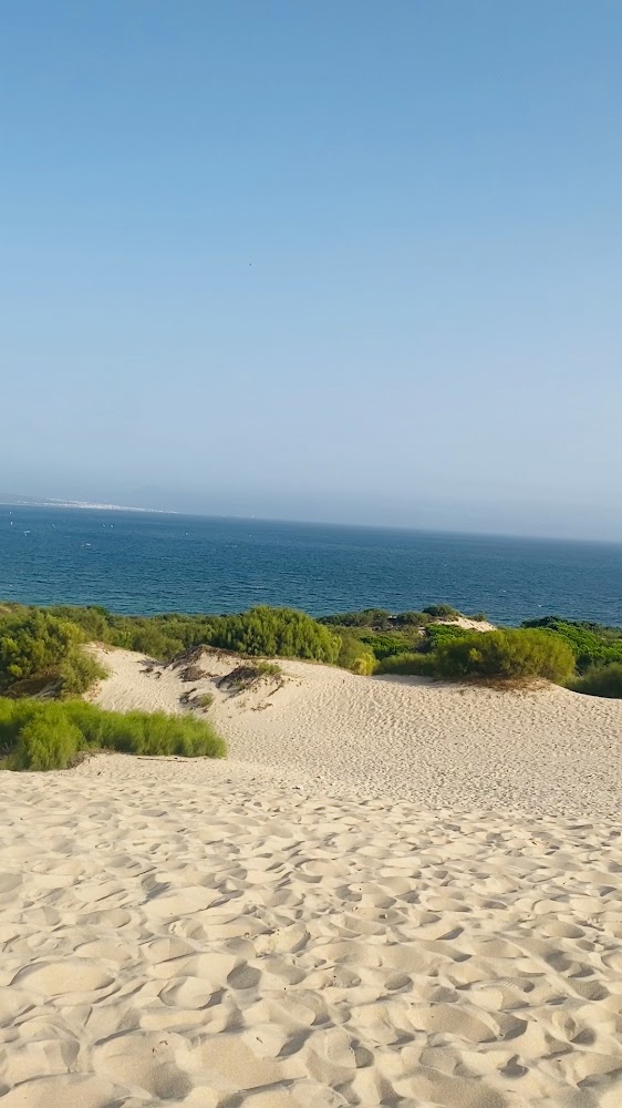 Playa Punta Paloma