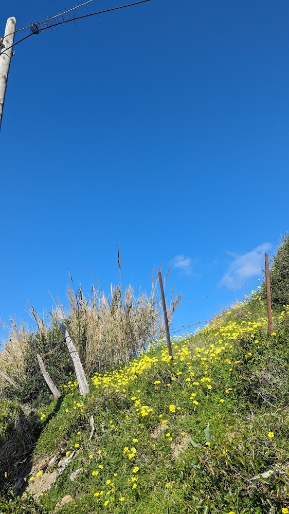 Playa de la Caleta