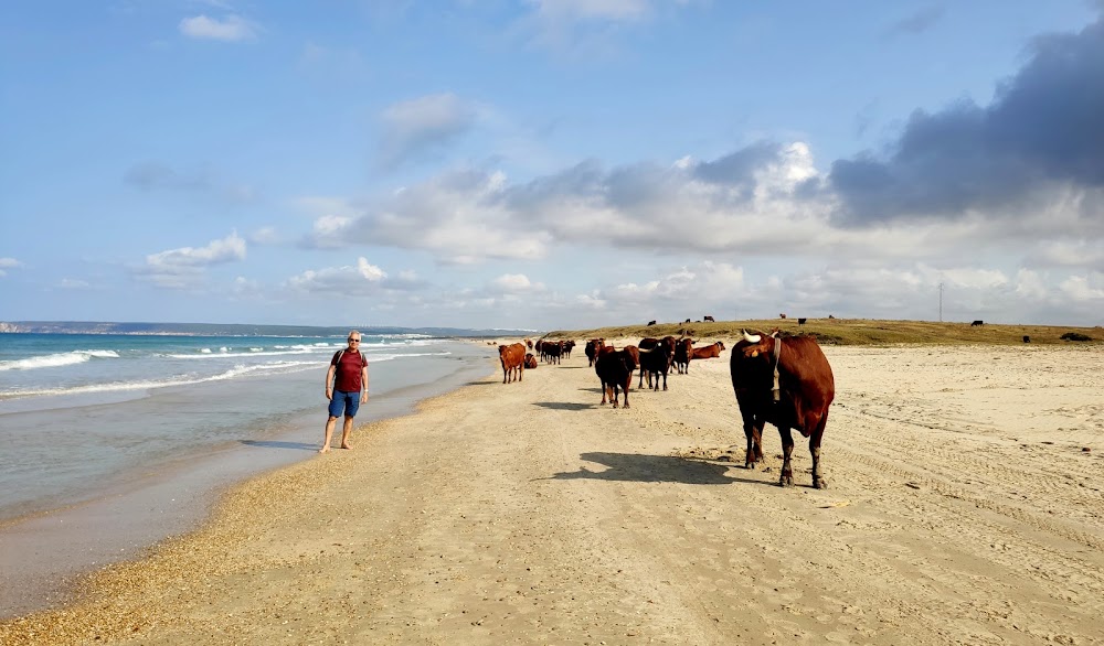 Playa de Zahara