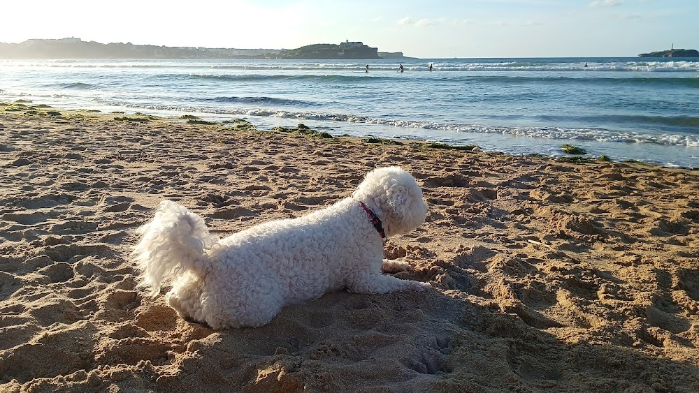 Playa De Somo