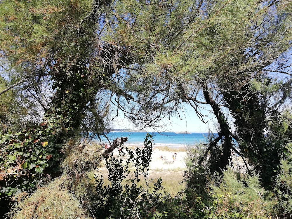 Playa De Somo