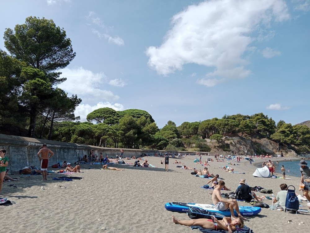 Plage de Paulilles