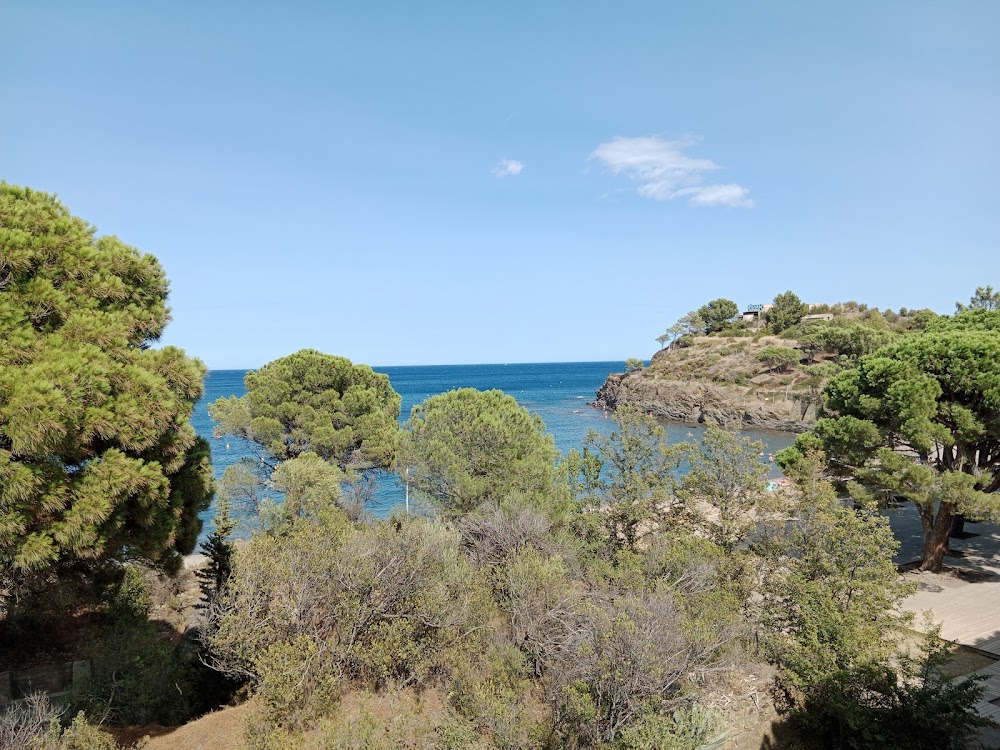 Plage de Paulilles