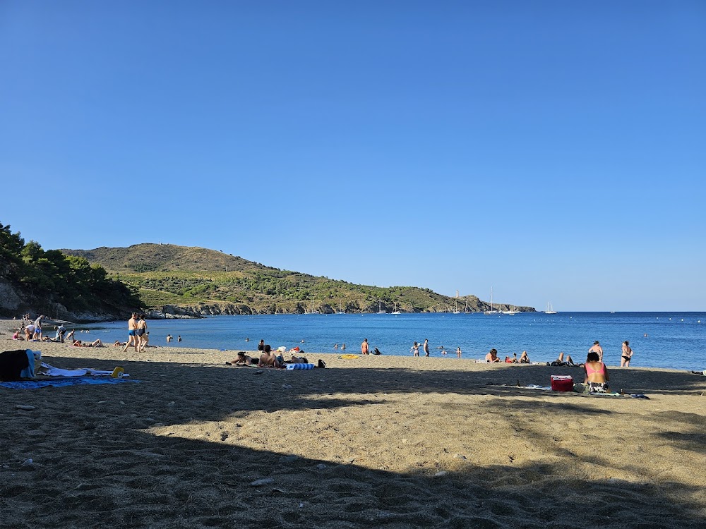 Plage de Paulilles